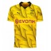 Billige Borussia Dortmund Tredje Fodboldtrøjer 2023-24 Kortærmet